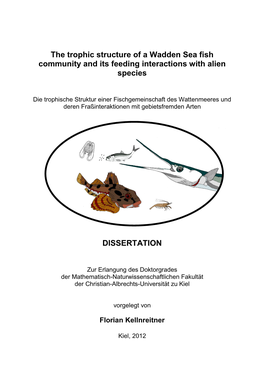 The Trophic Structure of a Wadden Sea Fish Community and Its Feeding Interactions with Alien Species