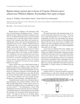 Human Urinary Myiasis Due to Larvae of Clogmia (Telmatoscopus) Albipunctata Williston (Diptera: Psychodidae) First Report in Egypt