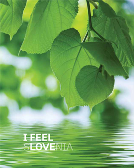 Publikacija-I-Feel-Slovenia.Pdf