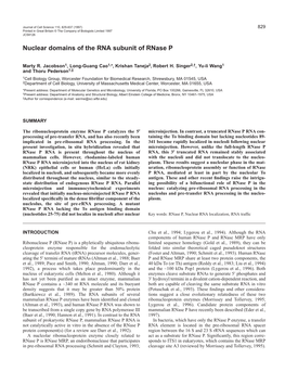 Nuclear Domains of the RNA Subunit of Rnase P