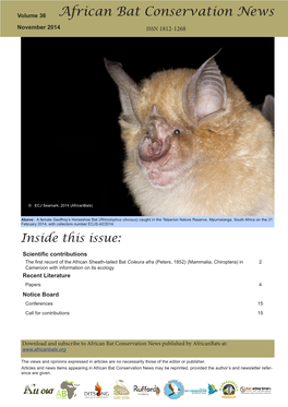 African Bat Conservation News