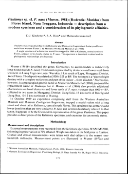 Rodentia: Muridae) from Flores Island, Nusa Tenggara, Indonesia - Description from a Modern Specimen and a Consideration of Its Phylogenetic Affinities