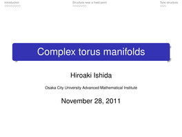 Complex Torus Manifolds