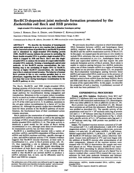 Recbcd-Dependent Joint Molecule Formation Promoted by The