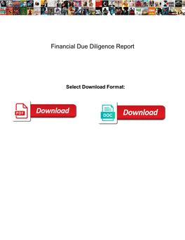 Financial Due Diligence Report