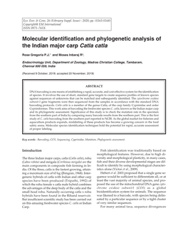Molecular Identification and Phylogenetic Analysis of the Indian Major Carp Catla Catla