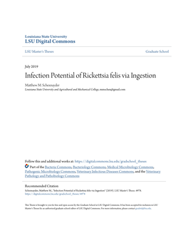 Infection Potential of Rickettsia Felis Via Ingestion Matthew M