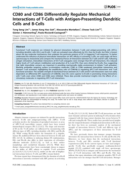 CD80 and CD86 Differentially Regulate Mechanical Interactions of T-Cells with Antigen-Presenting Dendritic Cells and B-Cells