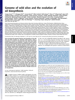 Genome of Wild Olive and the Evolution of Oil Biosynthesis