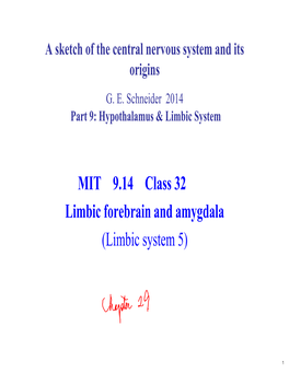 9.14 Lecture 32: Limbic Forebrain and Amygdala Notes