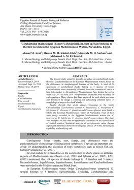 Carcharhinid Shark Species (Family Carcharhinidae), with Special Reference to the First Records in the Egyptian Mediterranean Waters, Alexandria, Egypt