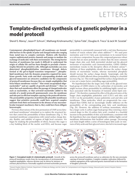 Template-Directed Synthesis of a Genetic Polymer in a Model Protocell