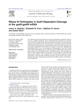 Rnase III Participates in Gady-Dependent Cleavage of the Gadx-Gadw Mrna