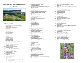 Bayer Bee Care Center Pollinator Garden Plant List