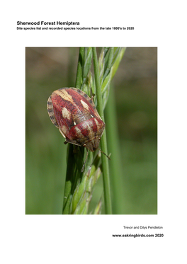 Sherwood Forest Hemiptera Species List and Records 2020