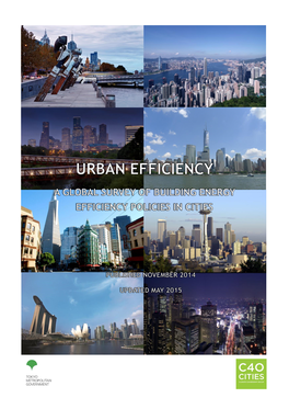 A Global Survey of Building Energy Efficiency Policies in Cities