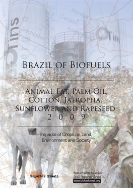 Brazil of Biofuels - Impacts of Crops on Land, Environment and Society – Palms, Cotton, Corn and Jatropha 2008”