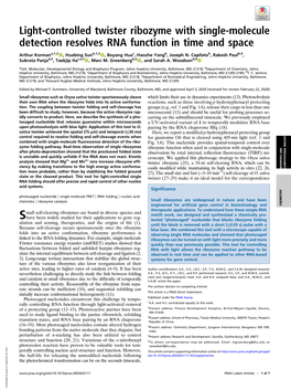 Light-Controlled Twister Ribozyme with Single-Molecule Detection Resolves RNA Function in Time and Space