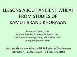 Lessons About Ancient Wheat from Studies of Kamut Brand Khorasan