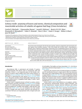 Schinus Molle: Anatomy of Leaves and Stems, Chemical Composition And