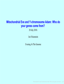 Mitochondrial Eve and Y-Chromosome Adam: Who Do Your Genes Come From? 28 July 2010