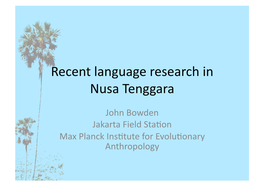 Recent Language Research in Nusa Tenggara