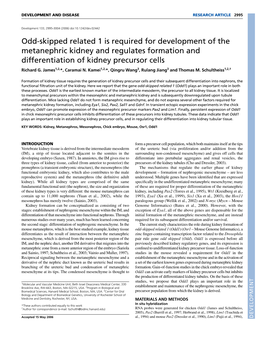 Odd-Skipped Related 1 Is Required for Development of the Metanephric Kidney and Regulates Formation and Differentiation of Kidne