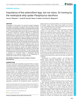 Importance of the Antenniform Legs, but Not Vision, for Homing by the Neotropical Whip Spider Paraphrynus Laevifrons Verner P