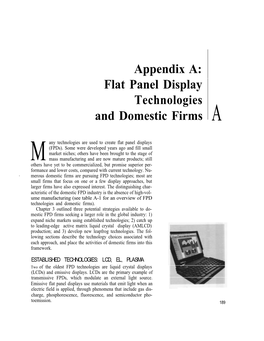 Flat Panel Display Technologies and Domestic Firms A