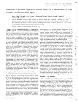 Adenosine A3 Receptor Stimulation Induces Protection of Skeletal Muscle from Eccentric Exercise-Mediated Injury