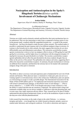 Nociception and Antinociception in the Speke's Hingeback Tortoise