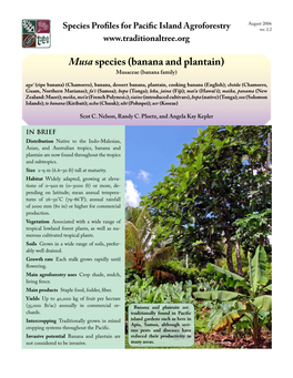 Musa Species (Bananas and Plantains) Authors: Scot C