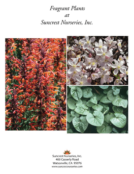 Fragrant Plants Cover 2012-08-21