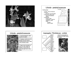 Diversity and Evolution of Monocots