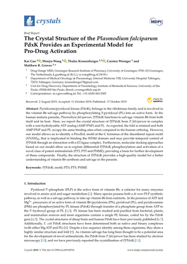 The Crystal Structure of the Plasmodium Falciparum Pdxk Provides an Experimental Model for Pro-Drug Activation