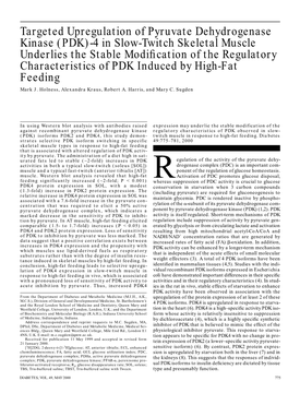 Targeted Upregulation of Pyruvate Dehydrogenase Kinase (PDK)