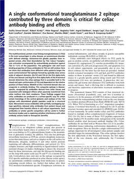 A Single Conformational Transglutaminase 2 Epitope Contributed by Three Domains Is Critical for Celiac Antibody Binding and Effects