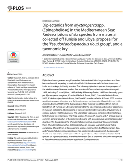 Diplectanids from Mycteroperca Spp. (Epinephelidae) in The