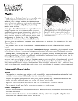 Facts About Washington's Moles