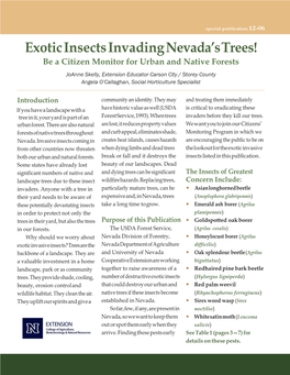 Exotic Insects Invading Nevada's Trees!