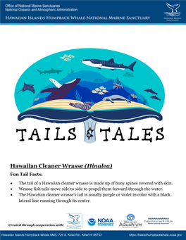 Hawaiian Cleaner Wrasse (Hinalea) Fun Tail Facts