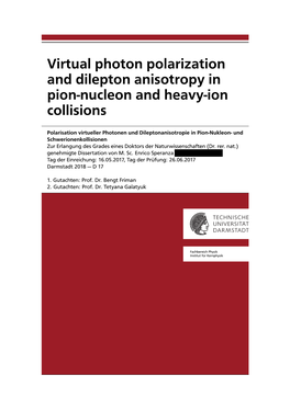 Virtual Photon Polarization and Dilepton Anisotropy in Pion-Nucleon and Heavy-Ion Collisions