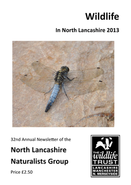 Wildlife in North Lancashire 2013