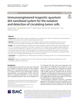 Immunoengineered Magnetic-Quantum Dot Nanobead