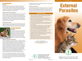 External Parasites Or Other Conditions Requiring Medical Care