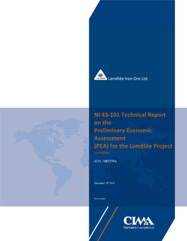 NI 43-101 Technical Report on the Preliminary