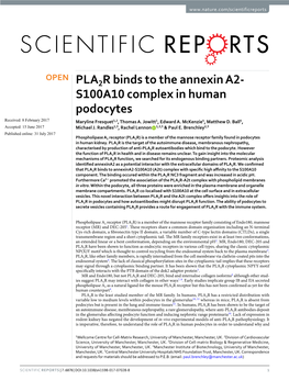 S100A10 Complex in Human Podocytes Received: 8 February 2017 Maryline Fresquet1,2, Thomas A