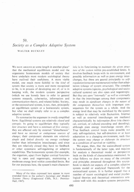 Society As a Complex Adaptive System