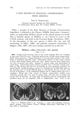 102 a New Species of Melitaea (Nymphalidae) from Armenia