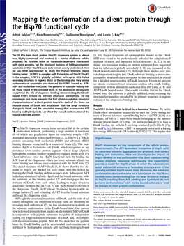 Mapping the Conformation of a Client Protein Through the Hsp70 Functional Cycle